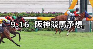 【ケフェウスステークス】2023/9/16(土) 中央競馬 穴馬予想(阪神競馬)
