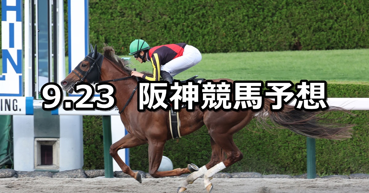 【大阪スポーツ杯】2023/9/23(土) 中央競馬 穴馬予想（阪神競馬）