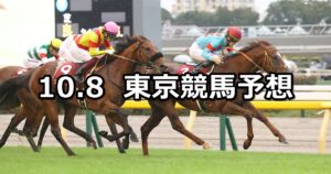 【毎日王冠】2023/10/8(日) 中央競馬 穴馬予想（東京競馬）