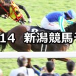 【飛翼特別】2023/10/14(土) 中央競馬 穴馬予想(新潟競馬)