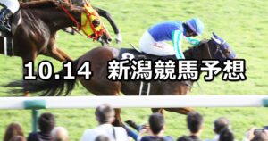 【飛翼特別】2023/10/14(土) 中央競馬 穴馬予想（新潟競馬）