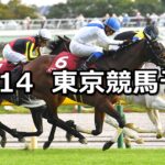 【府中牝馬ステークス】2023/10/14(土) 中央競馬 穴馬予想(東京競馬)