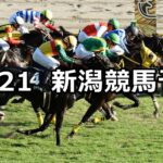 【北陸ステークス】2023/10/21(土) 中央競馬 穴馬予想(新潟競馬)