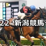 【新潟牝馬ステークス】2023/10/22(日) 中央競馬 穴馬予想(新潟競馬)