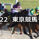 【ブラジルカップ】2023/10/22(日) 中央競馬 穴馬予想(東京競馬)