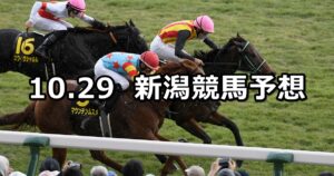 【ルミエールオータムダッシュ】2023/10/29(日) 中央競馬 穴馬予想（新潟競馬）