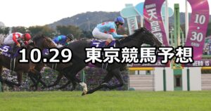 【天皇賞(秋)】2023/10/29(日) 中央競馬 穴馬予想（東京競馬）