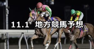 【エーデルワイス賞/ノベンバー賞】2023/11/1(水)地方競馬 穴馬予想(門別/大井競馬)