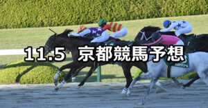 【みやこステークス】2023/11/5(日) 中央競馬 穴馬予想（京都競馬）