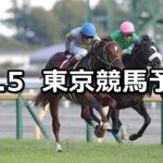 【アルゼンチン共和国杯】2023/11/5(日) 中央競馬 穴馬予想(東京競馬)