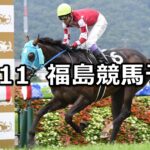 【奥羽ステークス】2023/11/11(土) 中央競馬 穴馬予想(福島競馬)