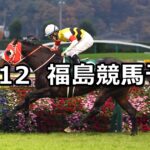 【福島記念】2023/11/12(日) 中央競馬 穴馬予想(福島競馬)