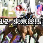 【オーロカップ】2023/11/12(日) 中央競馬 穴馬予想(東京競馬)