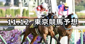 【オーロカップ】2023/11/12(日) 中央競馬 穴馬予想（東京競馬）