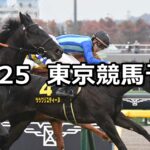 【キャピタルステークス】2023/11/25(土) 中央競馬 穴馬予想(東京競馬)