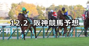 【チャレンジカップ】2023/12/2(土) 中央競馬 穴馬予想(阪神競馬)