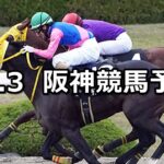 【ギャラクシーステークス】2023/12/3(日) 中央競馬 穴馬予想（阪神競馬）
