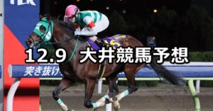 【ビオラ賞】2023/12/9(土)地方競馬 穴馬予想（大井競馬）