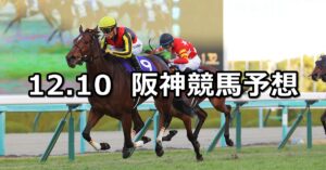 【阪神ジュベナイルフィリーズ】2023/12/10(日) 中央競馬 穴馬予想（阪神競馬）