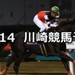【神奈川記念】2023/12/14(木)地方競馬 穴馬予想(川崎競馬)