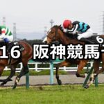 【タンザナイトステークス】2023/12/16(土) 中央競馬 穴馬予想(阪神競馬)