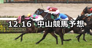 【ターコイズステークス】2023/12/16(土) 中央競馬 穴馬予想（中山競馬）