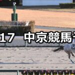 【コールドムーンステークス】2023/12/17(日) 中央競馬 穴馬予想(中京競馬)