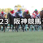 【阪神カップ】2023/12/23(土) 中央競馬 穴馬予想（阪神競馬）