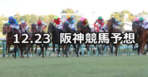 【阪神カップ】2023/12/23(土) 中央競馬 穴馬予想（阪神競馬）