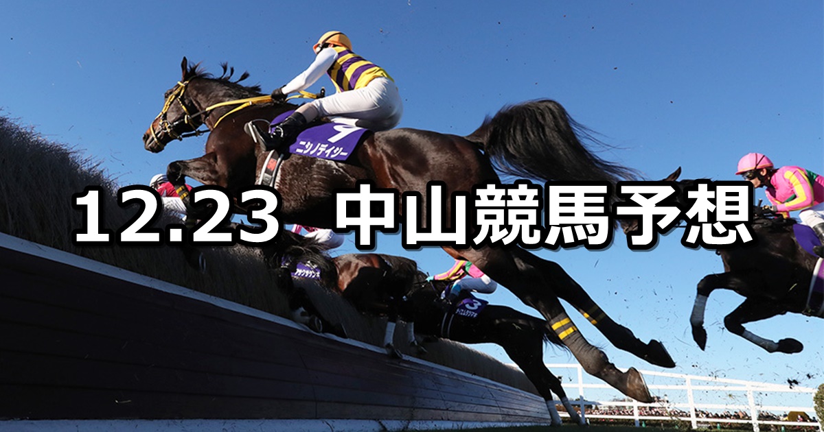 【中山大障害】2023/12/23(土) 中央競馬 穴馬予想（中山競馬）