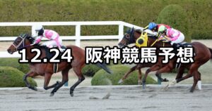 【りんくうステークス】2023/12/24(日) 中央競馬 穴馬予想（阪神競馬）