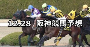 【ベテルギウスステークス】2023/12/28(木) 中央競馬 穴馬予想（阪神競馬）