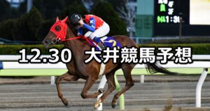 【東京シンデレラマイル】2023/12/30(土)地方競馬 穴馬予想（大井競馬）