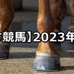 【2023年】地方競馬の的中成績まとめ