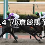 【門司ステークス】2024/1/14(日) 中央競馬 穴馬予想(小倉競馬)