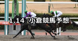 【門司ステークス】2024/1/14(日) 中央競馬 穴馬予想（小倉競馬）