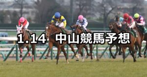 【京成杯】2024/1/14(日) 中央競馬 穴馬予想（中山競馬）
