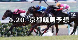 【石清水ステークス】2024/1/20(土) 中央競馬 穴馬予想（京都競馬）