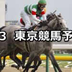 【JCベストレース記念】2024/2/3(土) 中央競馬 穴馬予想(東京競馬)