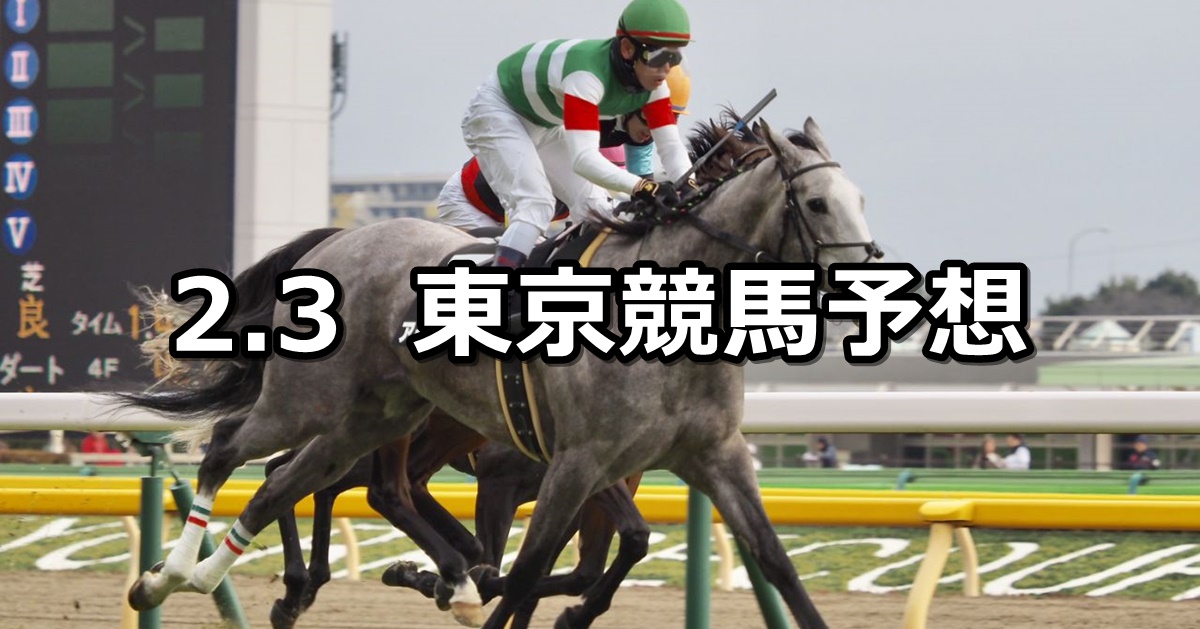 【JCベストレース記念】2024/2/3(土) 中央競馬 穴馬予想（東京競馬）