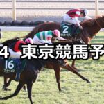 【東京新聞杯】2024/2/4(日) 中央競馬 穴馬予想（東京競馬）