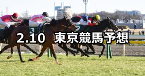 【クイーンカップ】2024/2/10(土) 中央競馬 穴馬予想（東京競馬）