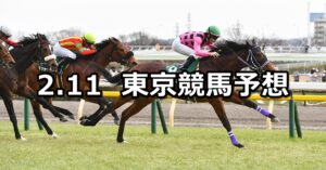 【共同通信杯】2024/2/11(日) 中央競馬 穴馬予想（東京競馬）
