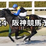 【仁川ステークス】2024/2/24(土) 中央競馬 穴馬予想(阪神競馬)