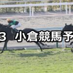 【関門橋ステークス】2024/3/3(日) 中央競馬 穴馬予想(小倉競馬)