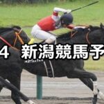【越後ステークス】2024/5/4(土) 中央競馬 穴馬予想(新潟競馬)