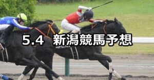 【越後ステークス】2024/5/4(土) 中央競馬 穴馬予想（新潟競馬）