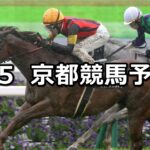 【鞍馬ステークス】2024/5/5(日) 中央競馬 穴馬予想(京都競馬)