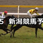 【新潟大賞典】2024/5/5(日) 中央競馬 穴馬予想(新潟競馬)