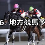 【名古屋グランプリ/スパーキングスプリントチャレンジ】2024/5/6(月)地方競馬 穴馬予想(名古屋/川崎競馬)